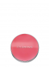 Clarins Joli Blush 02