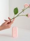 HAAN Higienizante de Mos Recarregvel Bright Rose (Rosa) 30ml