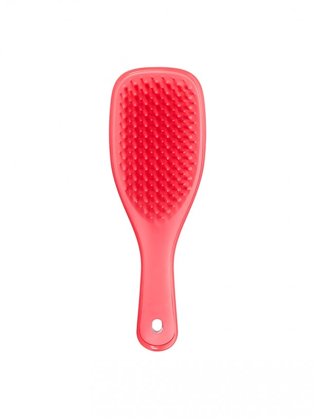 Tangle Teezer Detangler Mini Pink Punch