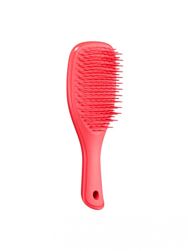 Tangle Teezer Detangler Mini Pink Punch