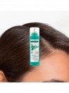 Klorane Champ� Seco com Ortiga e Vitamina E - com Cor 150ml