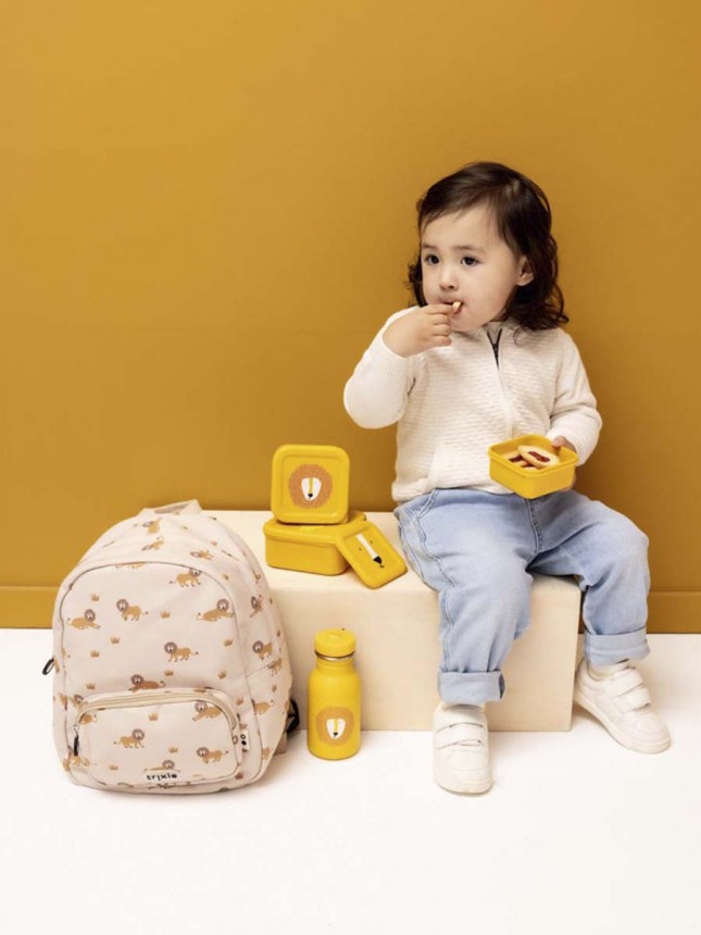 Trixie Baby Caixas Snack - Mr. Lion