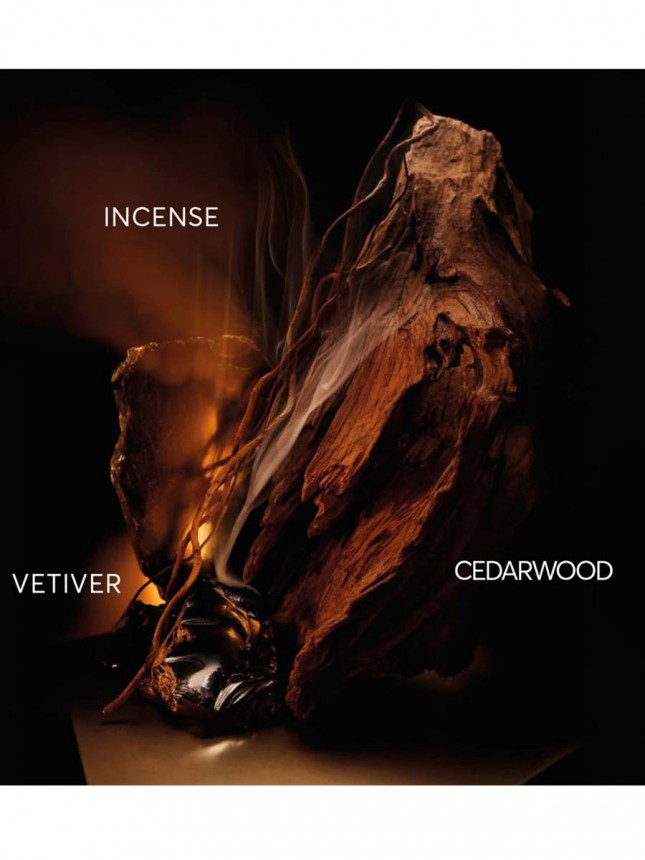 Boss Bottled Elixir EDP 50ml