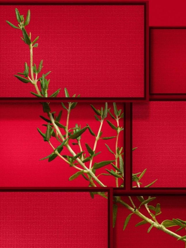 Boss Hugo Intense EDP 75 ml