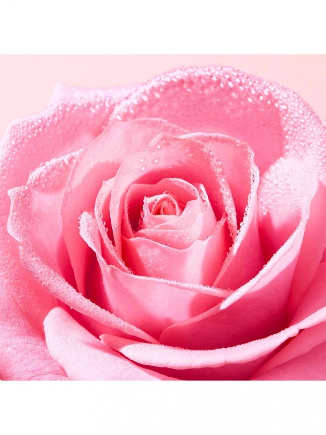 Nuxe Very Rose Exfoliante Rosto Luminosidade