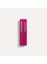 Caudalie Vinothererapist Stick Labios com Cor 4,5g