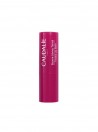 Caudalie Vinothererapist Stick Labios com Cor 4,5g