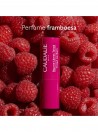 Caudalie Vinothererapist Stick Labios com Cor 4,5g