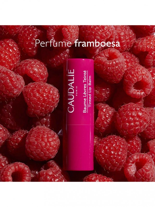 Caudalie Vinothererapist Stick Labios com Cor 4,5g