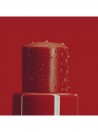 ISDIN Reparador Labial Stick Bordeaux 4g