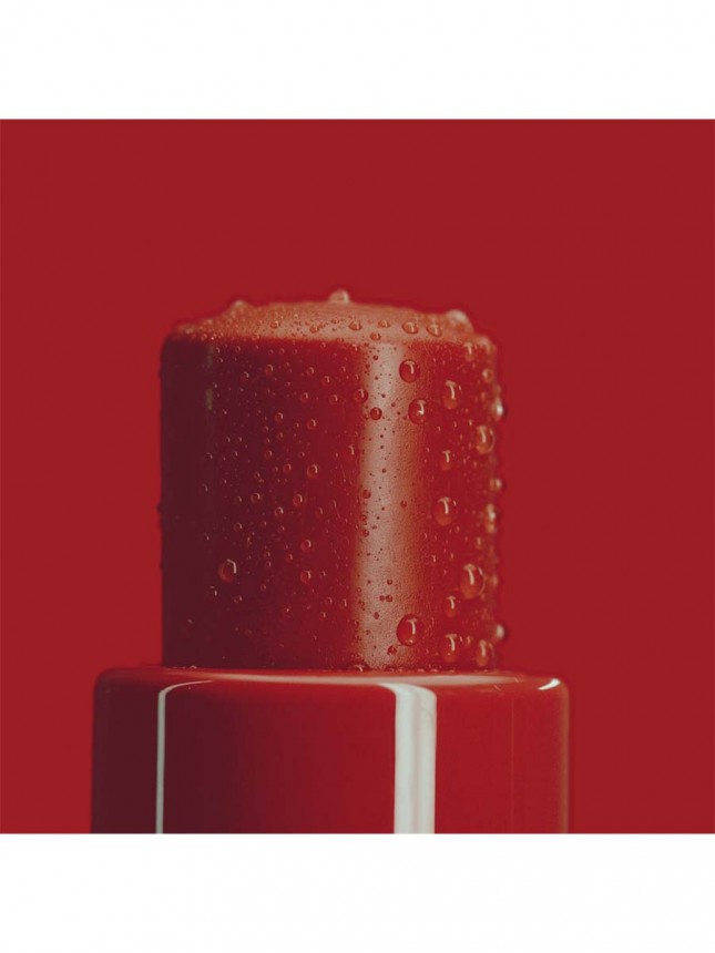 ISDIN Reparador Labial Stick Bordeaux 4g