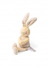 Chicco Coelhinho Fofinho Doudou