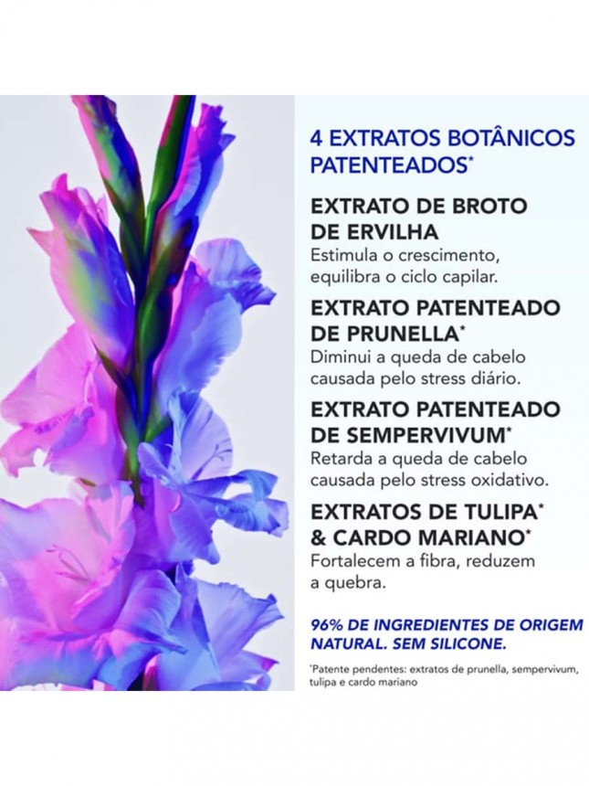 Phyto Coffret Phanere Ampolas + Champ� Volume 100ml