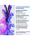 Phyto Coffret Phanere Ampolas + Champ� Volume 100ml
