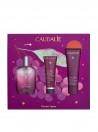 Caudalie, set navide�o �Les Vignes� 26